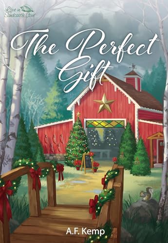 The Perfect Gift book cover
