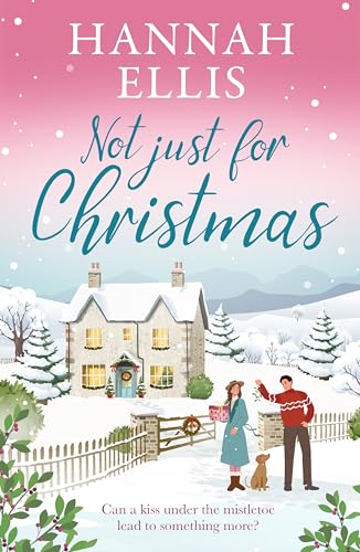Not Just for Christmas book cover