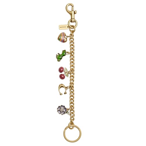 Coach Motif Chain Bag Charm