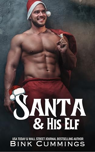 Santa & His Elf book cover