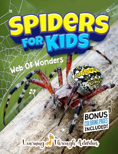 Spiders for Kids