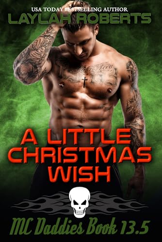 A Little Christmas Wish book cover
