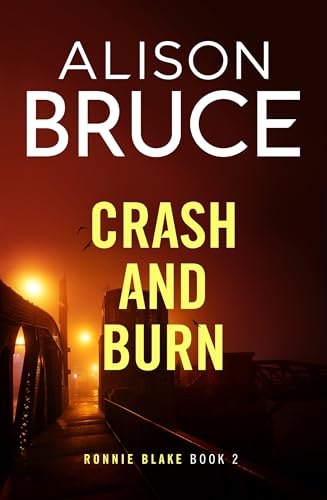 Crash and Burn book cover