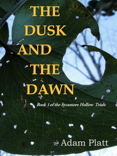 Discounted Book