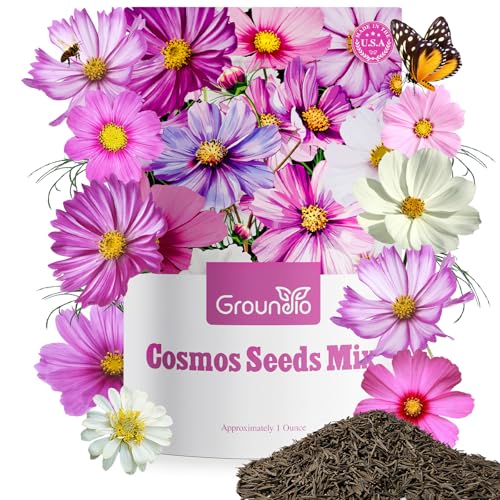 Groundio Cosmos Seeds Wildflower Mix, 1 Oz, Over 3,000 Seeds, 4 Varieties Flowers Seeds for Planting (Radiance, Purity, Pinkie, Picotee), Garden Seeds Open Pollinated Bulk