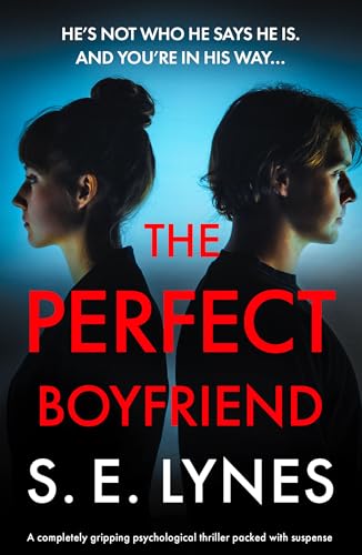 The Perfect Boyfriend book cover