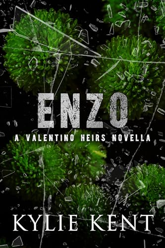 Enzo book cover