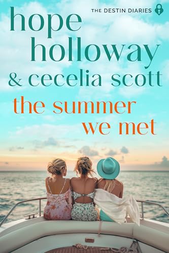The Summer We Met book cover