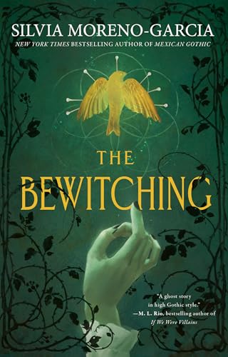 The Bewitching book cover
