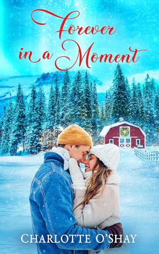 Forever in a Moment book cover