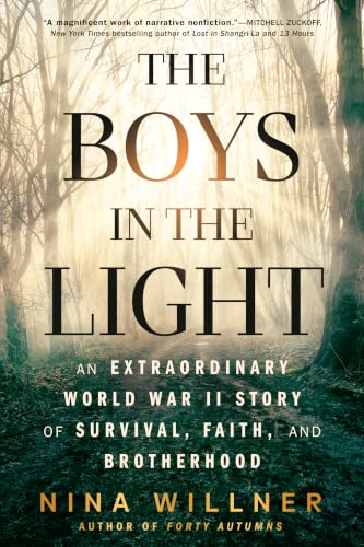 The Boys in the Light book cover