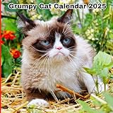 Grumpy Cat Calendar 2025