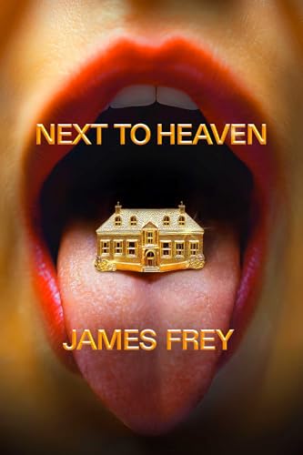 Next To Heaven book cover