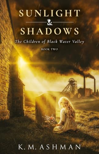 Sunlight and Shadows book cover
