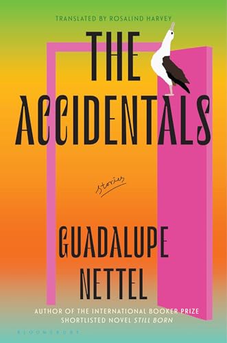 The Accidentals book cover