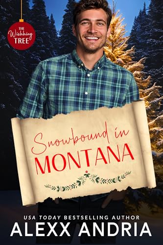 Snowbound In Montana cover