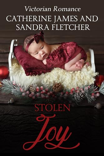 Stolen Joy book cover