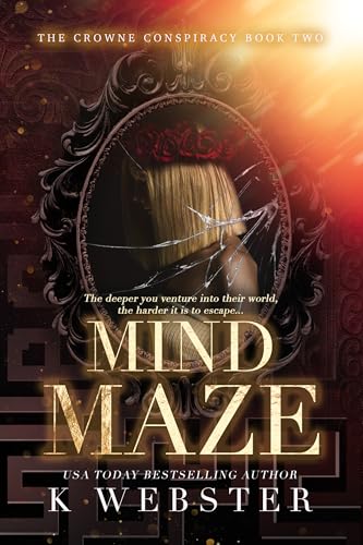 Mind Maze book cover
