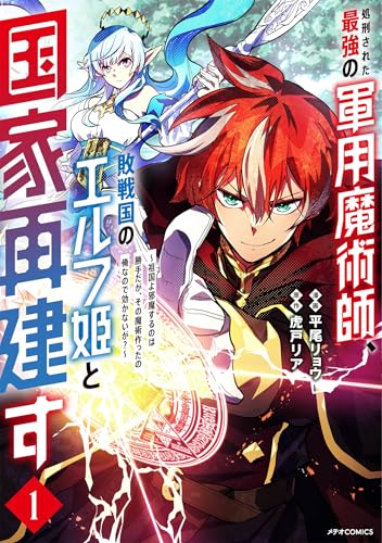 処刑された最強の軍用魔術師、敗戦国のエルフ姫と国家再建す〜祖国よ邪魔するのは勝手だが、その魔術作ったの俺なので効かないが？〜の表紙