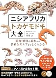 ニシアフ大全（RAFちゃんねる有馬）