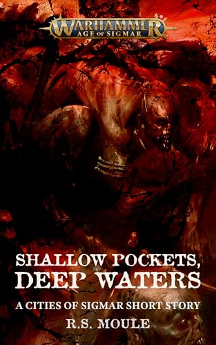 Shallow Pockets, Deep Waters (By: R.S. Moule) cover
