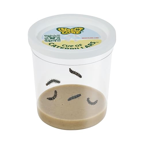 Insect Lore Cup of Caterpillars Basic – 5 Live Painted Lady Caterpillars with Food – Refill Kit for Butterfly Garden Habitat – STEM Science Activity for Kids & Classrooms