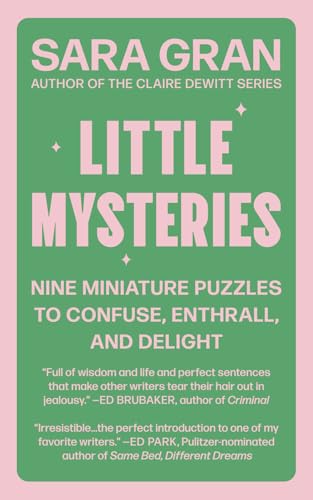 Little Mysteries book cover