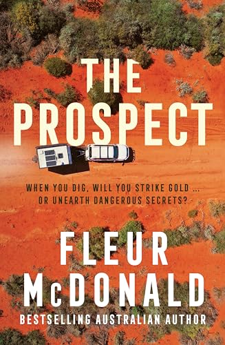 The Prospect book cover