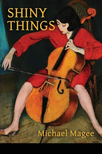 Shiny Things book cover