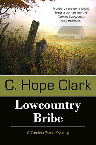 Lowcountry Bribe book cover