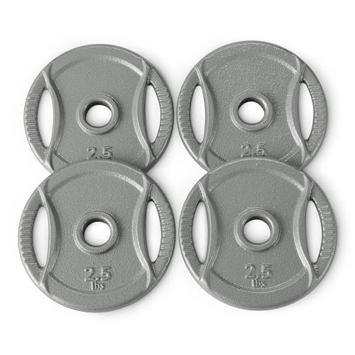 Amazon Basics 1-inch Grip Weight Plates, 2.5lb Weights, Set of 4