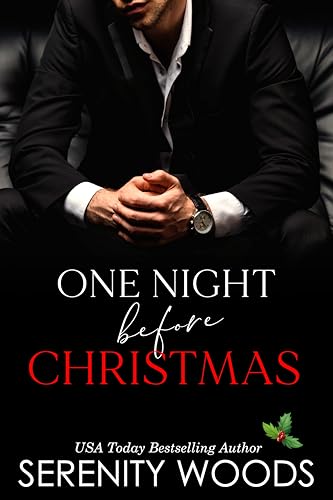 One Night before Christmas book cover