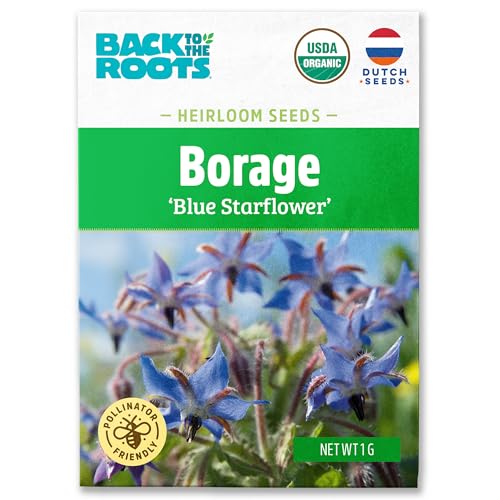 Back to the Roots 100% Organic Seed Packet - Borage 'Blue Starflower' 1g