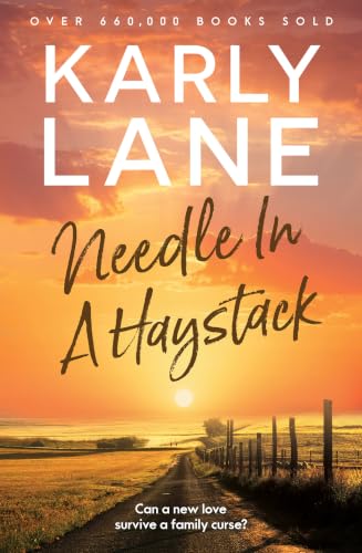 Needle in a Haystack book cover