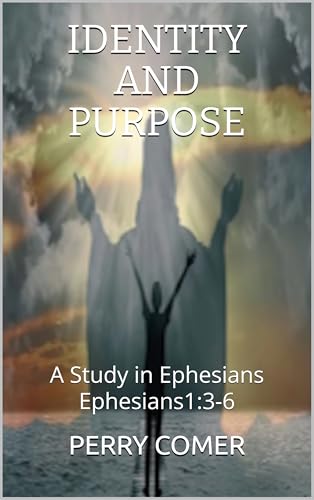 Identity And Purpose book cover
