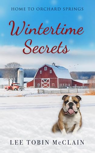 Wintertime Secrets book cover