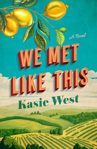 We Met Like This book cover