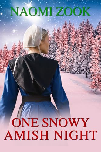 One Snowy Amish Night book cover
