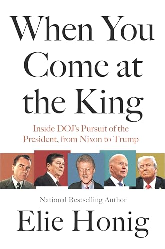 When You Come at the King book cover