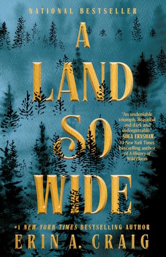 A Land So Wide book cover
