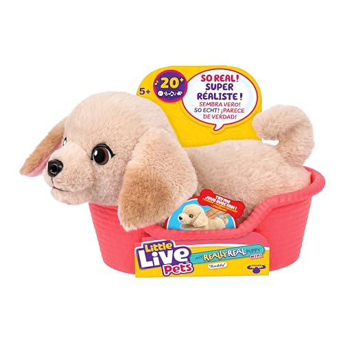 Little Live Pets My Really Real Puppy Mini Buddy The Retriever, Interactive Plush Toy with Basket, 20+ Sounds and Reactions, Puppy Toys for Kids