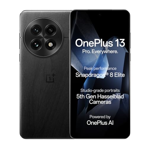 OnePlus 13 (12b RAM 256GB Storage Black)