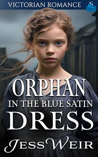 Orphan in the Blue Satin Dress book cover