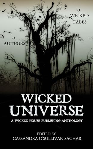 Wicked Universe book cover