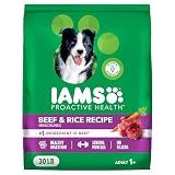 IAMS Proactive Health Dry Dog Food, Adult Dog Food Dry Recipe, Beef & Rice Recipe, 30 lb. Bag