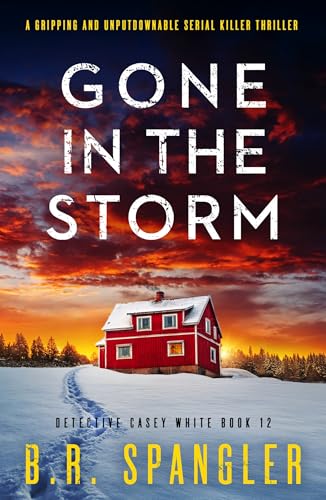 Gone in the Storm: A gripping and unputdownable serial killer thriller book cover