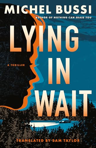 Lying in Wait book cover