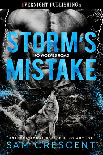 Storm's Mistake book cover