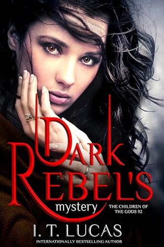 Dark Rebel's Mystery book cover
