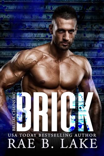 Brick book cover